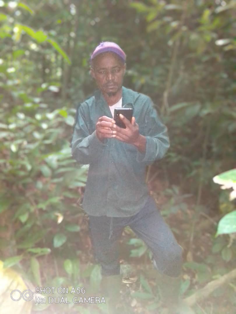 Forest monitoring in Cameroon (Ebo Forest) and in the Democratic Republic of Congo (Bolobo Territory) using the Forest Watcher application.