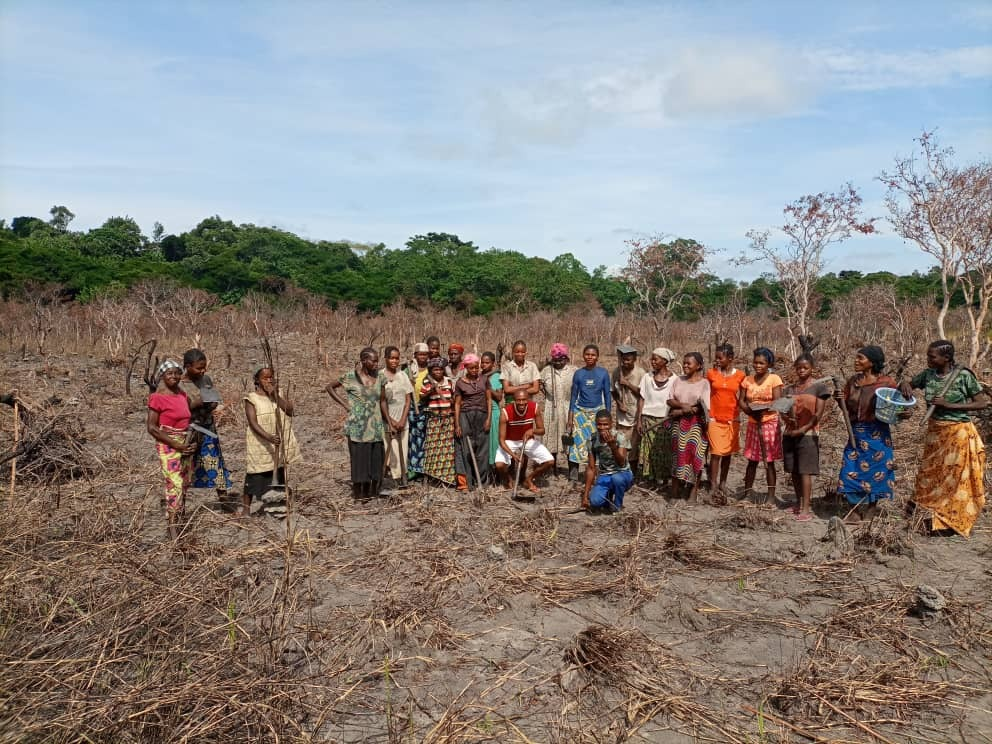 Projet de mise en place des champs de manioc dans la CFCL-RM : cas des villages Embirima, Nko et Nkala