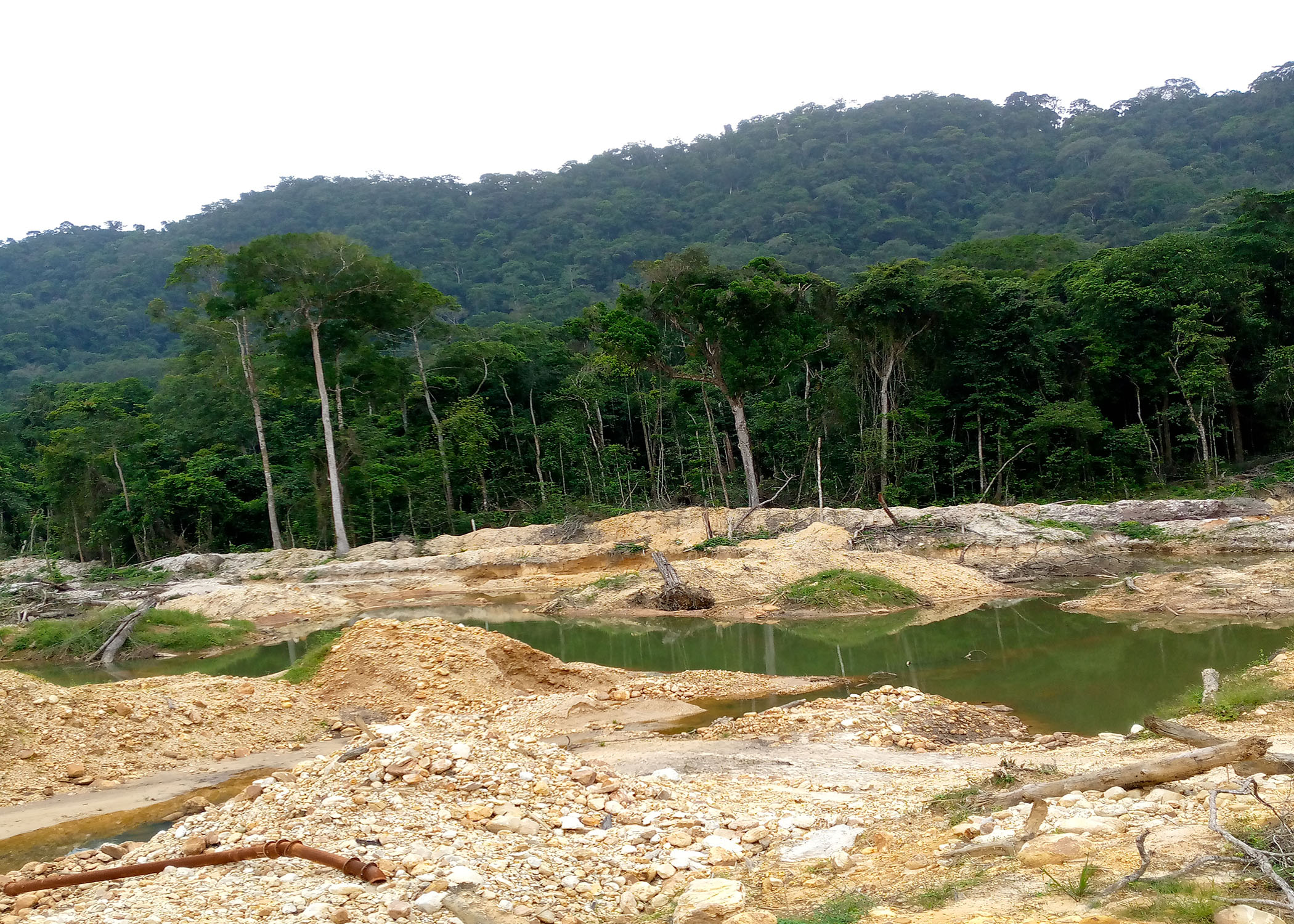 Impact des activités extractives dans la concession forestière de Ntombo